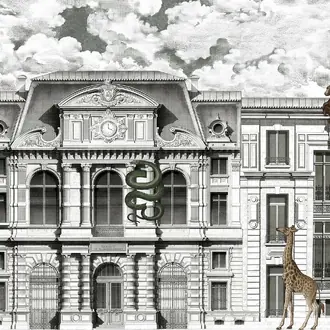 Animal Avenue R17171