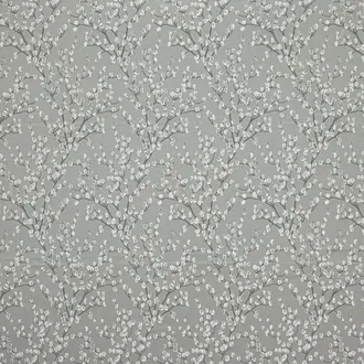 Berkeley Dove