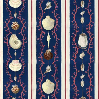 Coquillage WP20572