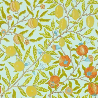 Fruit 217102