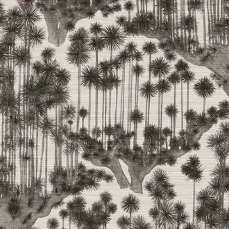 Japanese Woods 126-6023