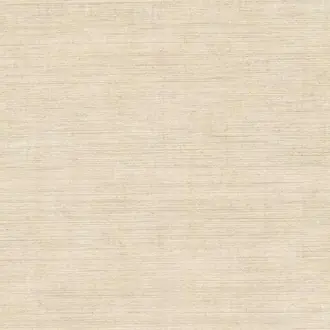 Canvas 313542