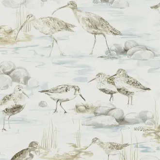 Estuary Birds 216492