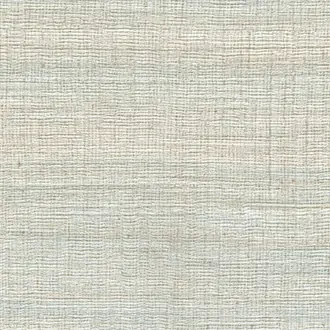 Rhea VP-1008-81