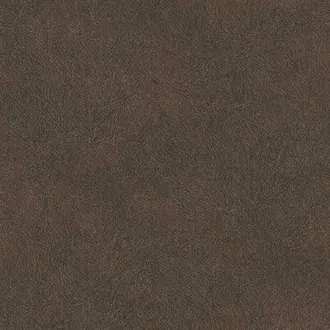 Shades Of Colour TA25025