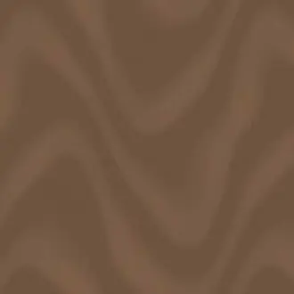 Surface 1611-4