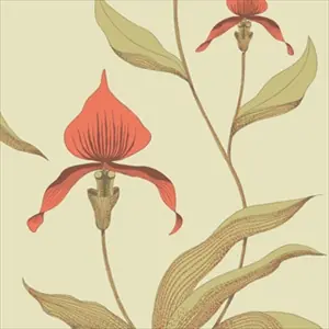 Orchid 66-4033
