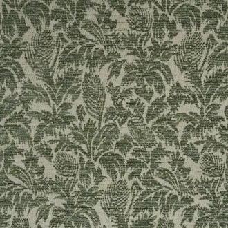 Parlor Palms JT013982-003