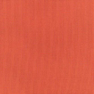 Picnic Blood Orange