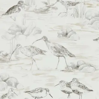 Estuary Birds 216493
