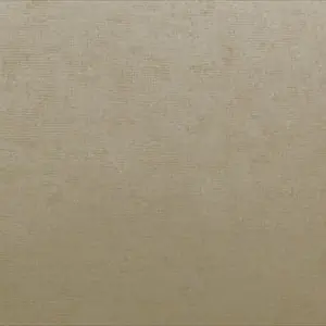 Nomad NOA2019