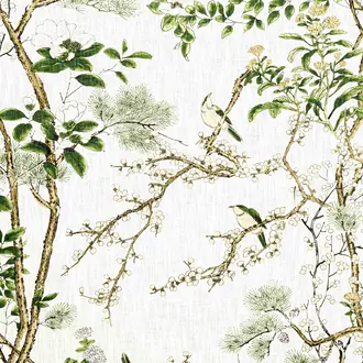 Katsura F913621