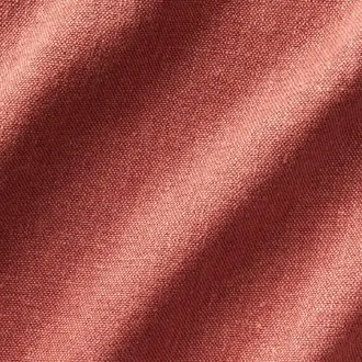 Terra Nova 21272336