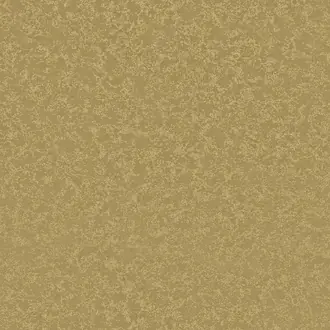 Zarha MIR807