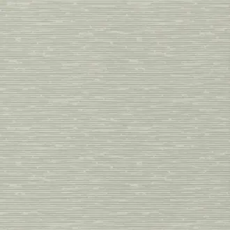 Grasscloth BW45049-6