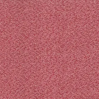 Cardot NCF4451-08