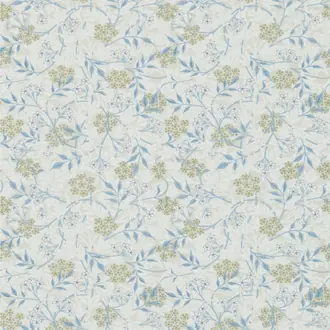 Jasmine 214724
