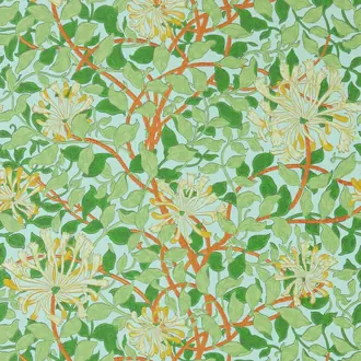 Honeysuckle 217094