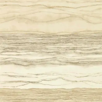 Metamorphic 113101