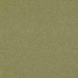 Glenmore 17 Moss