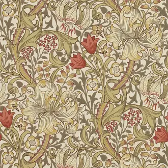 Golden Lily 210400
