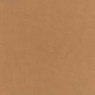 Ioka FR Cinnamon