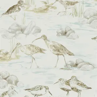 Estuary Birds 216494