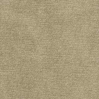 Beretta Dune