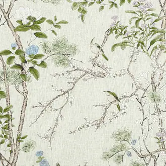 Katsura F913622