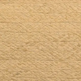 Braided Raffia 10298