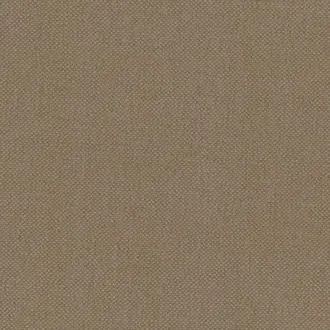 Oxford Chino
