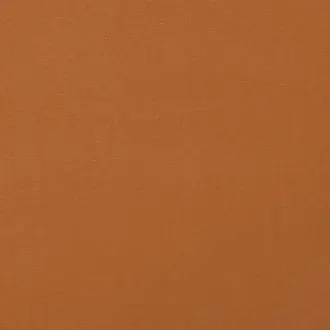 Carrera Burnt Orange