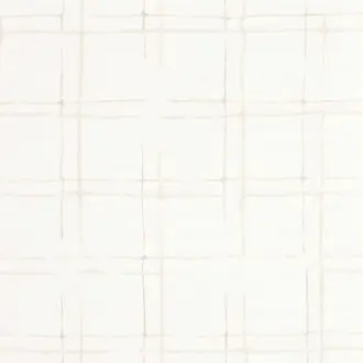 Zenon 48840193