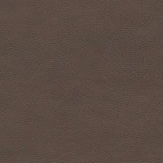 Parotega Nf 5132-53