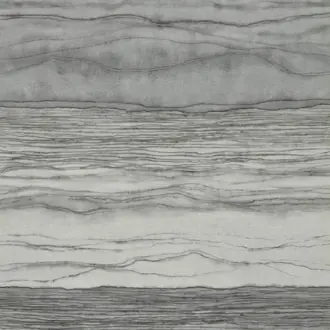 Metamorphic 113102