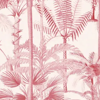 Palmera Cubana Pink WP20497