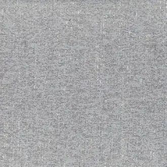 Prism 08 Silver