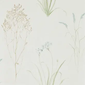 Farne Grasses 216486