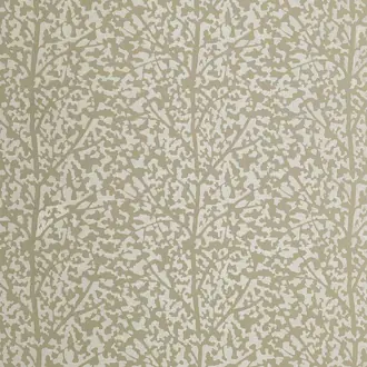 Mulberry Tree 3767-01