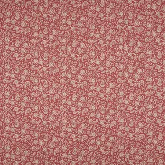 Shimla Carmine