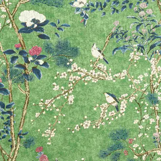 Katsura F913623