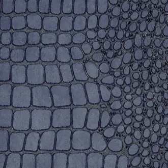 Vinyl Crocodile Rock 10846