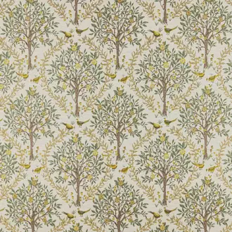 Bedgebury Lemon