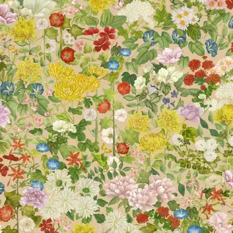 Flora Province 126-8029