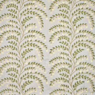 Jasmine F4107001