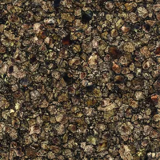 Granite Stone Bronze 1880
