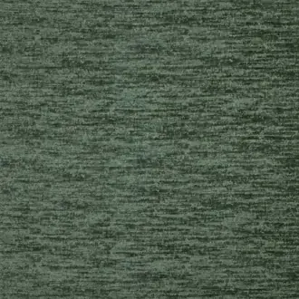 Splendour 4145-645