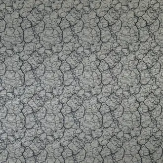Tectonic Fossil