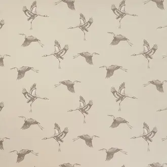 Cranes Pearl