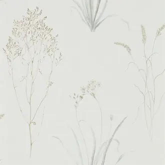 Farne Grasses 216487